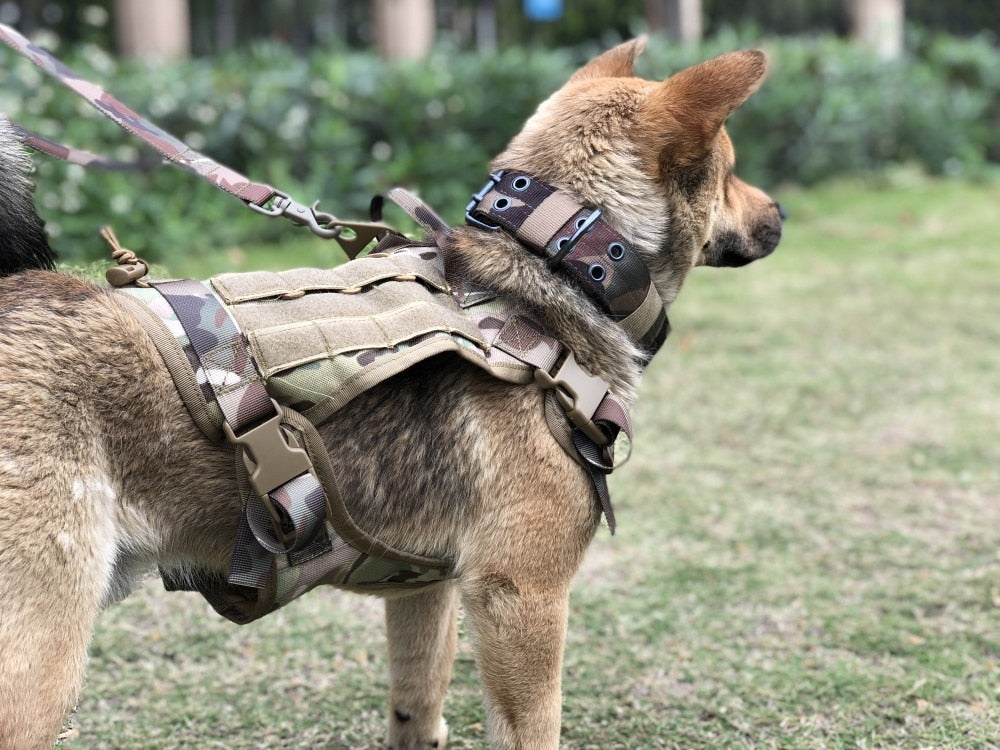 Tactical Dog Harness