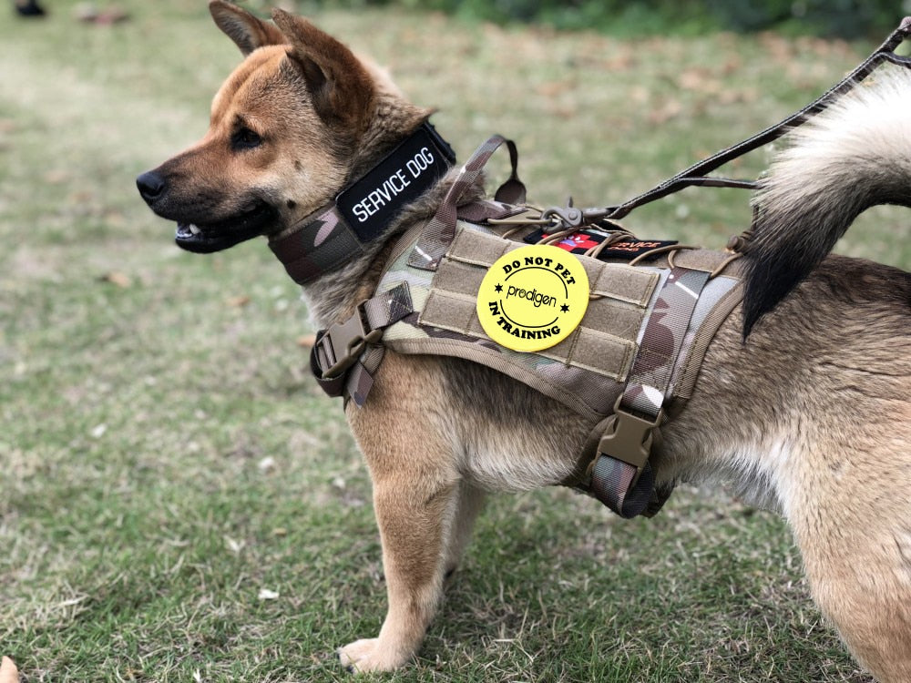 Tactical Dog Harness