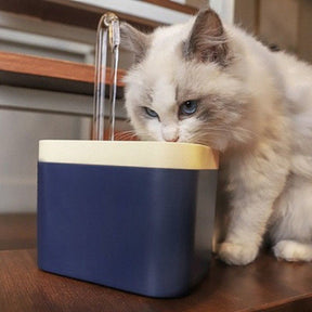 Nourishing Pet Water Fountain