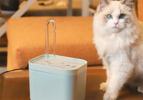 Nourishing Pet Water Fountain