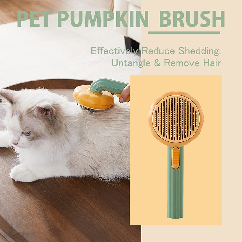 Pumpkin Cat Brush