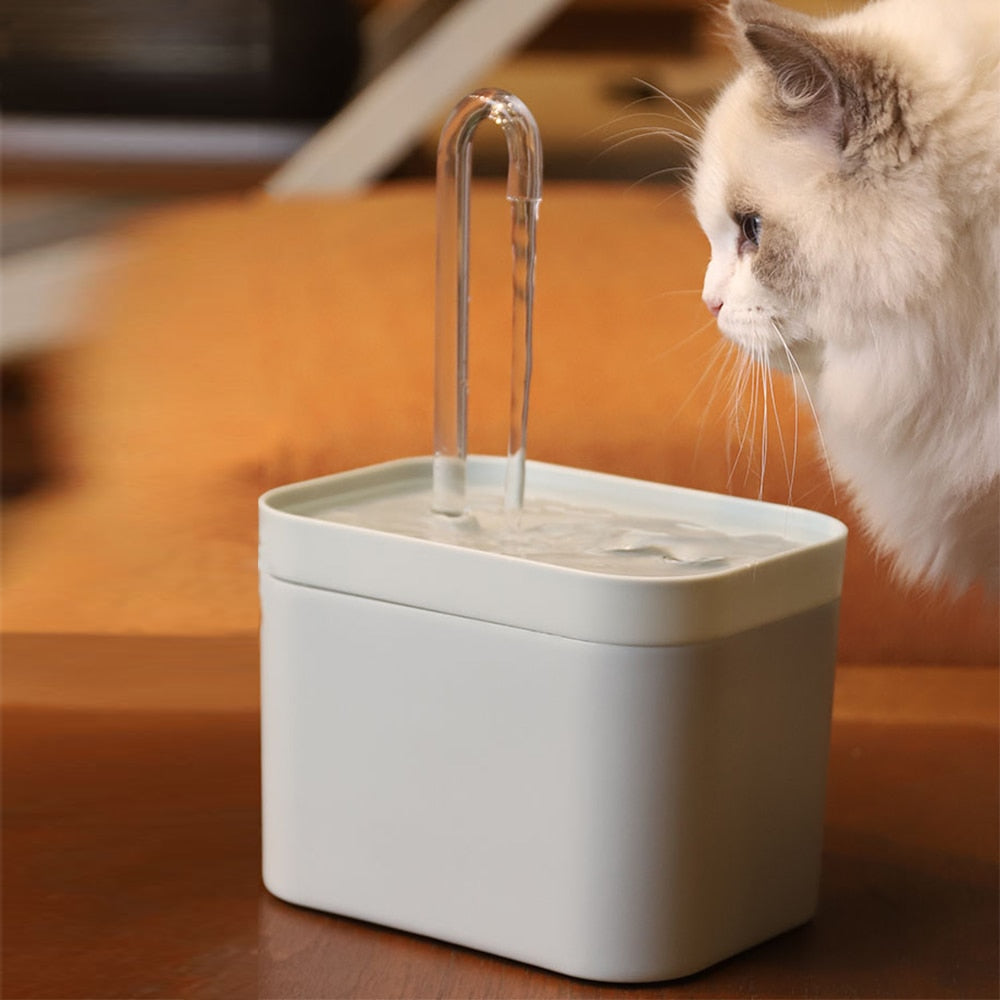 Nourishing Pet Water Fountain