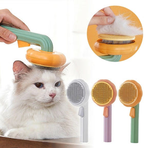 Pumpkin Cat Brush