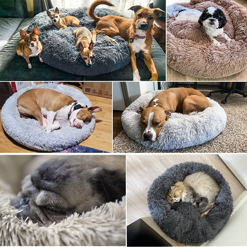 Warm, Calming Dog Bed